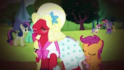 My Little Pony S05E17 Brotherhooves Social