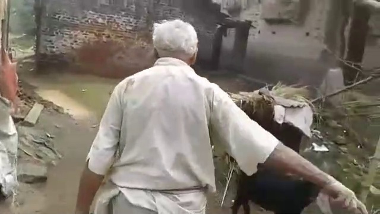 Goure dadur galagali