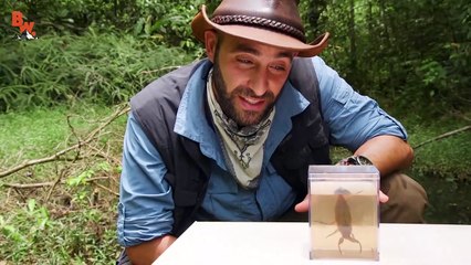 BITTEN by a GIANT WATER BUG!