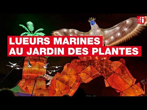 Lueurs marines au Jardin des plantes