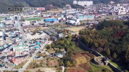 대한민국 3대 읍성인 '고창읍성'에는 웅장한 대나무숲이 있다?! (ft. 맹종죽림)