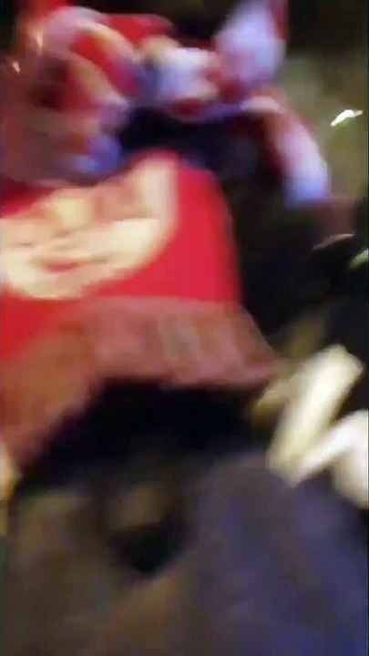 Retour des supporters de Nîmes après le match contre Marseille 21 12 2019