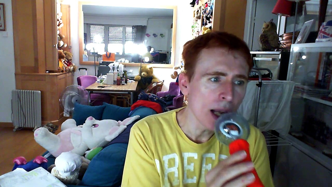 Wiwi égratigne  "le vol des cygnes" de Laurent Lamarca