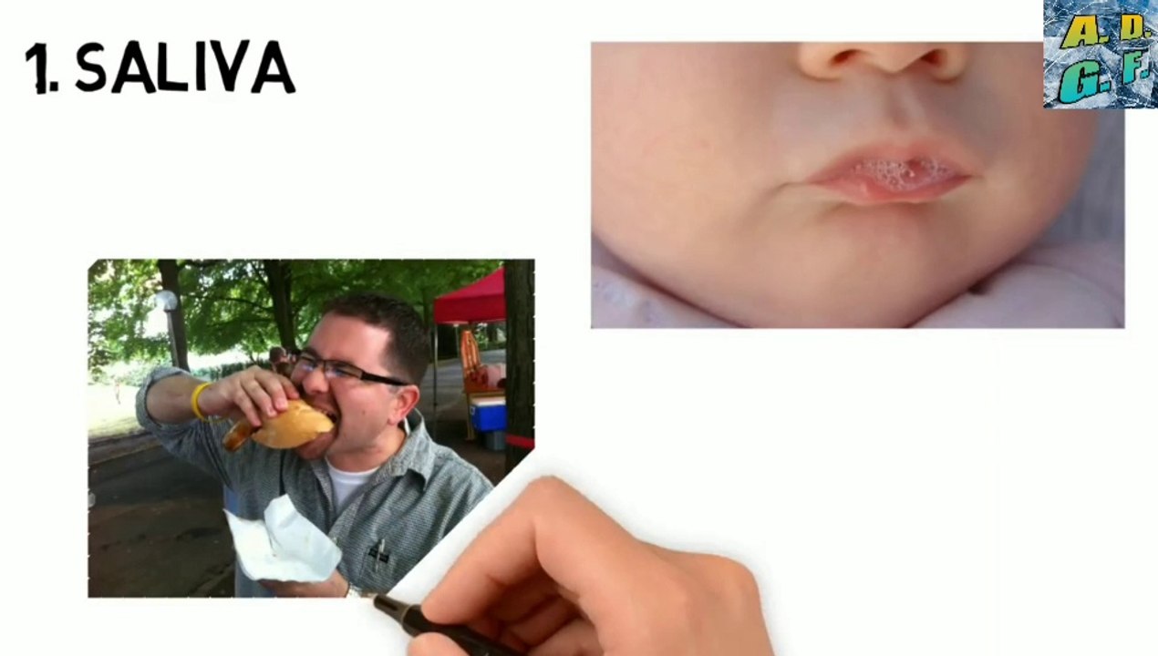 मानव शरीर के बारे में 5 चौंका देने वाले तथ्य | Top 5 Staggering Facts About The Human Body 2020