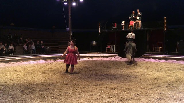 L'ombre du zèbre, nouveau spectacle du cirque équestre Pagnozoo au Haras National de Besançon