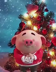 New year special 2020 for whatsapp status