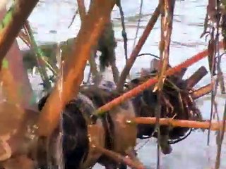 Amazing Irrigation Technique to Use Water for Farming