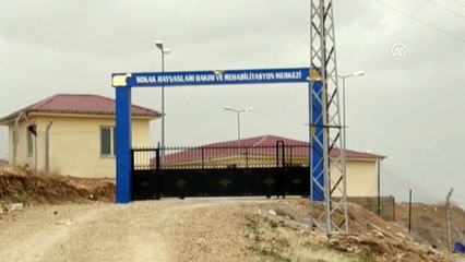 HDP'li belediyenin hayvan barınağında havan mermisi bulundu - SİİRT