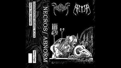 NECROS/ ABNORM Split tape (Old school death, black death)