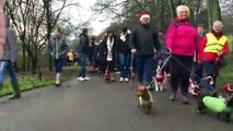 Christmas Sausage Dog Walk at Roundhay Park