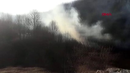 Bursa-inegöl ve gemlik'te orman yangını