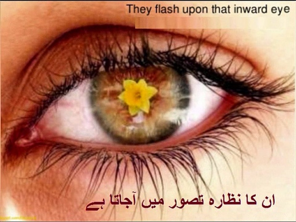 Aao English Seekhein, class 9 unit 5.4, Daffodils