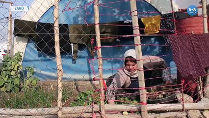 Barzani Vakfı’ndan Sığınmacılar İçin Destek Çağrısı