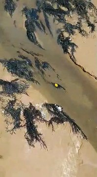 Frequentadores denunciam esgoto em córrego na Praia de Mar Azul, em Aracruz