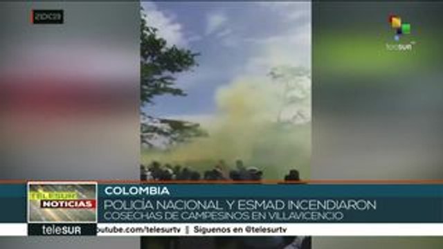 Colombia: ESMAD incendia cosechas de campesinos en el Meta