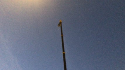 Démonstration de saut à l’élastique place Carnot