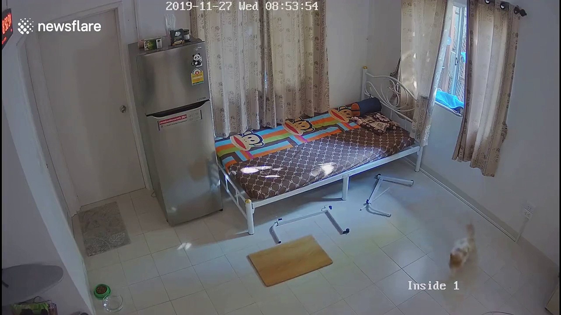 Ce Chat Saute De La Fenetre Et Casse La Table Video Dailymotion