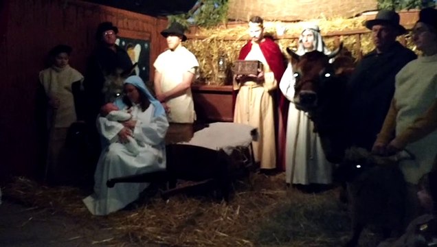 Jurbise. Succès pour Oscar le bébé de lla crèche vivante à Masnuy Saint Pierre. Vidéo Eric Ghislain