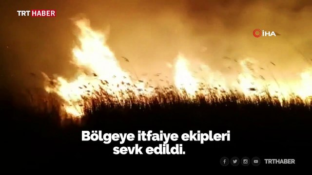 İznik Gölü kıyısındaki sazlık alanda yangın