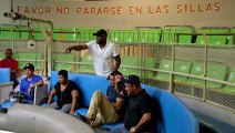 Puerto Rico defiende las peleas de gallos de la prohibición de EEUU