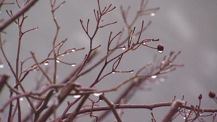 [날씨] 출근길 안개에 빙판...미세먼지 '나쁨' / YTN