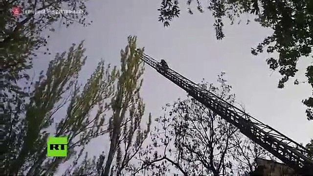 Así fue el arriesgado rescate de un gato callejero