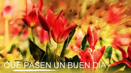 Conoce El Tiempo de Hoy Lunes 23 de Diciembre de 2019