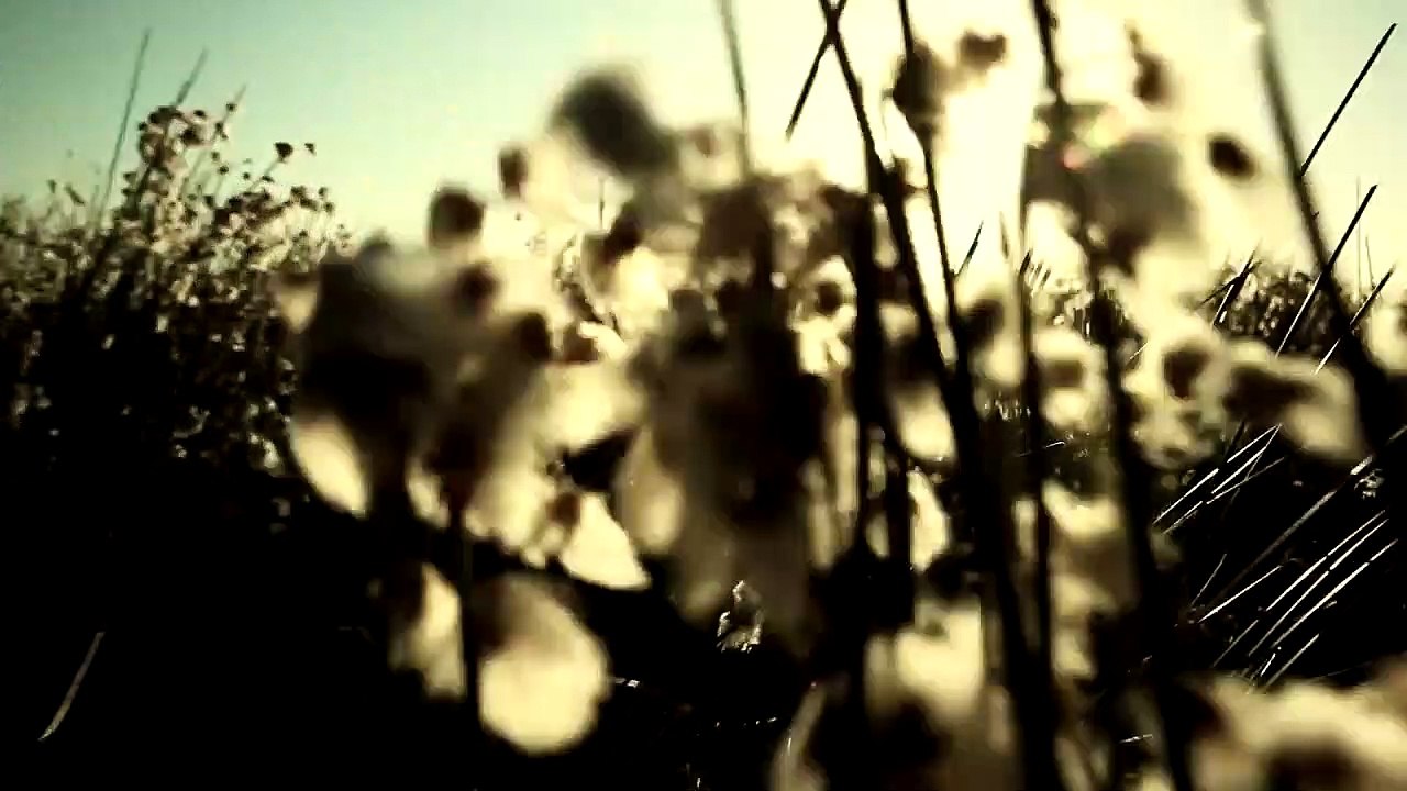 Menos Que Nada | Trailer do Filme