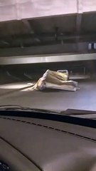 Este es 'puente de los tontos' de San Petersburgo que ya cuenta con 149 camiones siniestrados