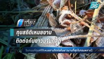 อินทนนท์ทุบสถิติเหมยขาบติดต่อกันยาวนานที่สุดในรอบหลายปี - เที่ยงทันข่าว