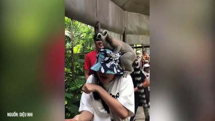 Diệu Nhi đi sở thú