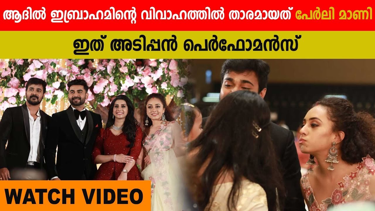 Pearley Maaney During Adil Ibrahim Wedding | Boldsky Malayalam