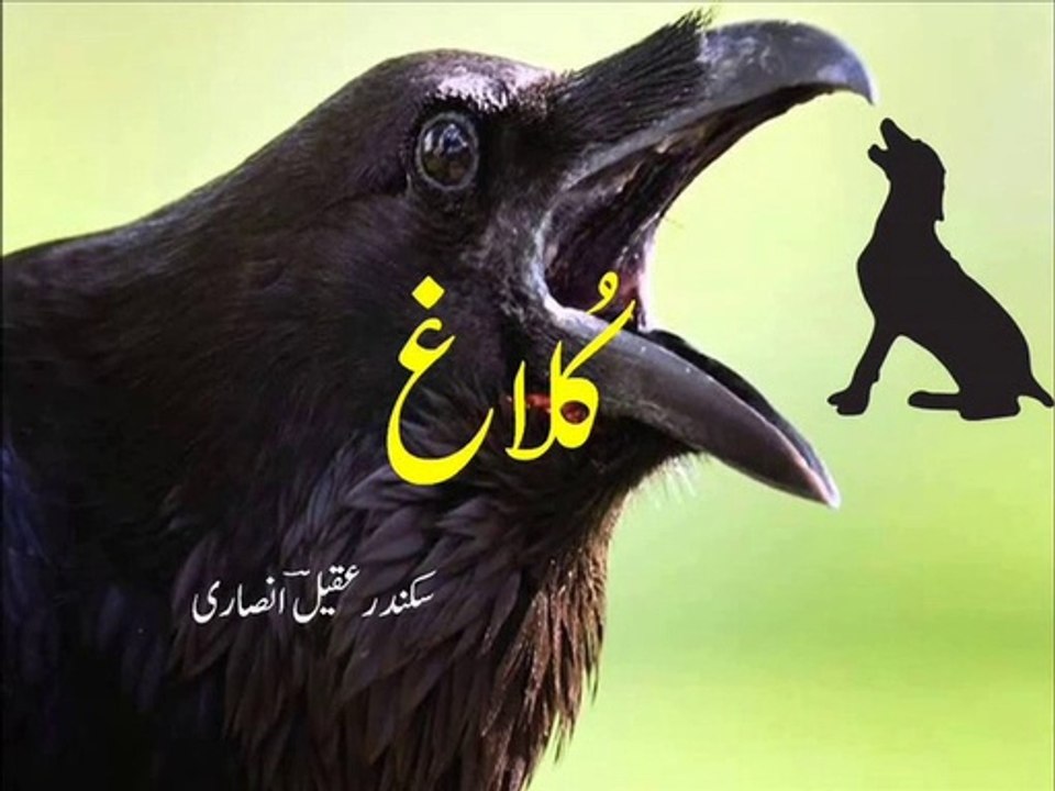 Urdu poetry - qataa 'kulaagh' - قَطعہ ۔ کُلاغ