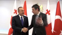 Dışişleri Bakanı Çavuşoğlu, Gürcistan Başbakanı Gakharia ile görüştü