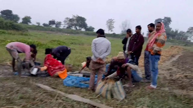 मछली पकड़ने का देसी स्टाइल? | How to pick fish from mud? | Fish Farming in Village | Mud Fish Farming