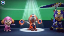 PAW PATROL PUPS TAKE FLIGHT 4 ZUMA PATRULHA CANINA OS FILHOTES DE COLAM PORTUGUÊS