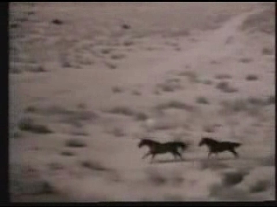 america horse with no name