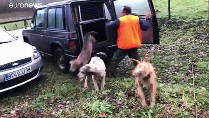 Una App permite a cazadores, caminantes y ciclistas disfrutar a la vez del mismo espacio rural