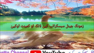 Pashto New Nazam 2019 || جار خوګې مور جانى || Farman Raza Wazir