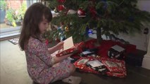 UK girl finds note from alleged Chinese prisoner inside charity Christmas card