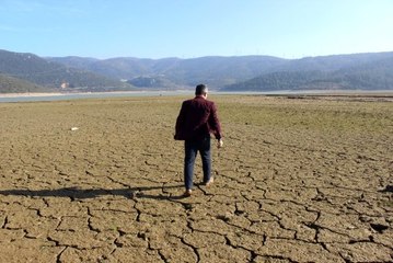 Kuruyan gölde ıspanak yetiştirip Türkiye'ye satıyorlar