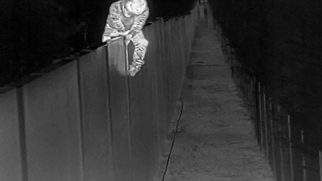 Así actúan las bandas de albaneses que asaltan chalets: 15 robos en dos meses