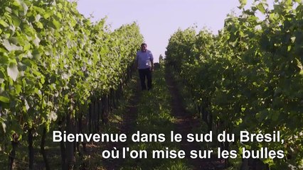 Dans la Serra Gaucha, le Brésil produit un vin mousseux apprécié