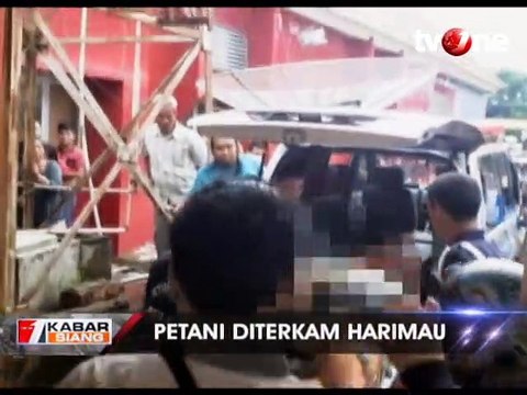 Diserang Harimau, Warga Lahat Ditemukan Tewas Mengenaskan