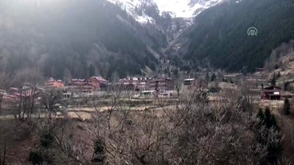 Uzungöl'de kaçak binaların yıkımına başlandı (3)
