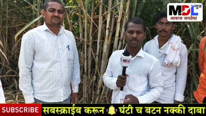 बीड: शेतकरी यशोगाथा एकरी 100 टन ऊस उत्पादन | ऊस लागवड माहिती | Us Lagwad | Us Lagwad Mahiti Marathi | ऊस लागवड