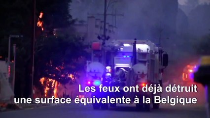 Incendies en Australie, le Premier ministre défend l'industrie du charbon