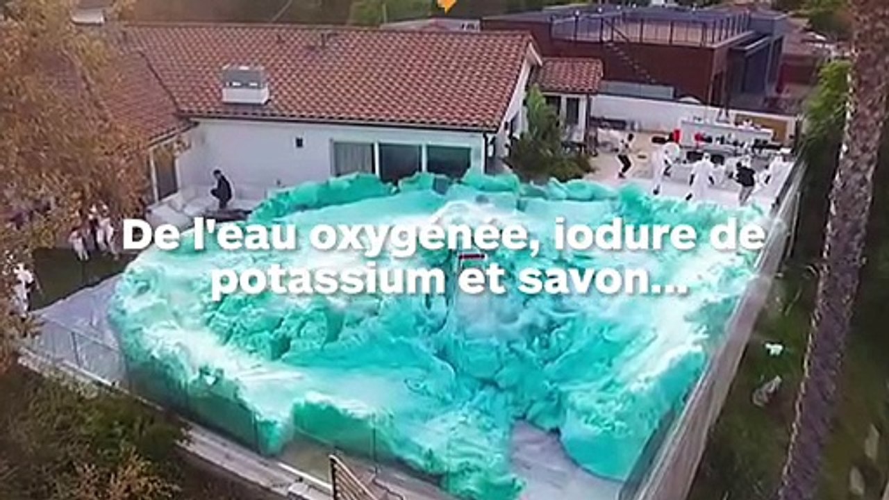 Une éruption de mousse recouvre un jardin en quelques secondes