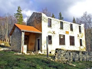 Flâneries en forêt des Coulmes depuis la Balme de Rencurel 38680 -  Vercors