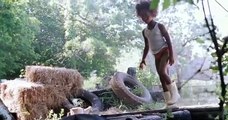 'Beasts of the Southern Wild' Trailer
